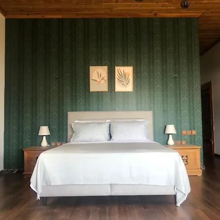 Stone Hotel *